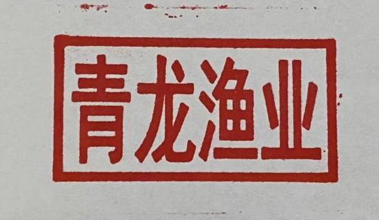 和龙马拉松：赛道上隐藏惊喜，打卡集勋章