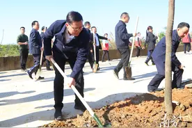 练江畔 植树忙 好春光图片