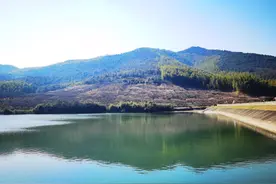 万亩梅林盛放，宜兴将迎来“十里梅花香雪海”图片