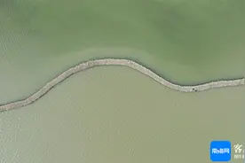 海南周刊丨灵蛇舞动巳如意图片