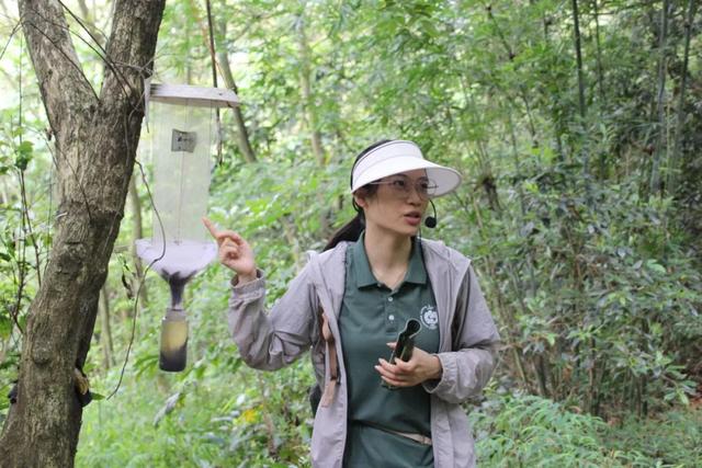 穿越400年原始森林，化身小小科学家！鼎湖山研学营火热报名中！