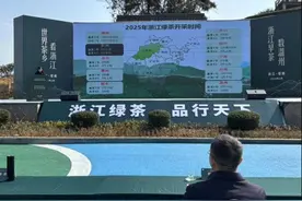 打卡“春天里的第一杯早茶” 2025浙江早茶正式开采图片