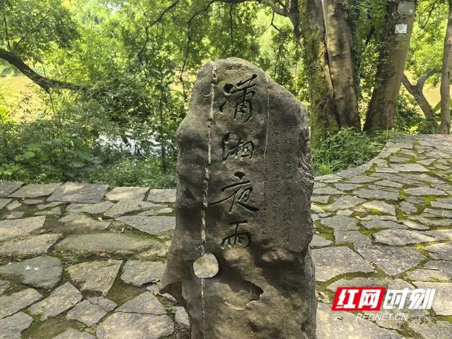 我住湘江边 ② | 潇湘合流处 绿染千年文脉