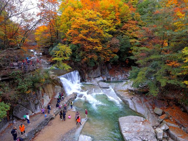 当红叶遇上“黑科技” 光雾山玩法上新丨市州观察