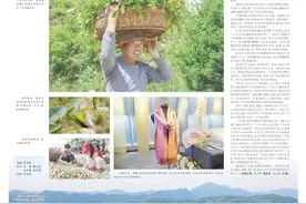 影像｜柞蚕的生命旅程图片