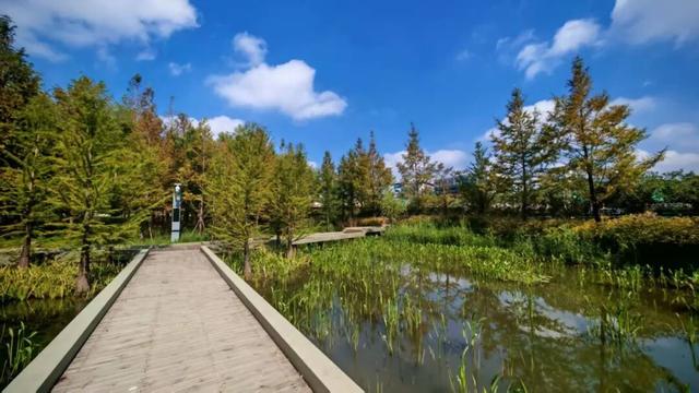 一路都是好风景！快来长宁这条绿道骑行、赏景吧～