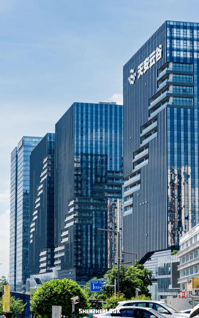 “深圳不上班的年轻人，最近流行去这里”