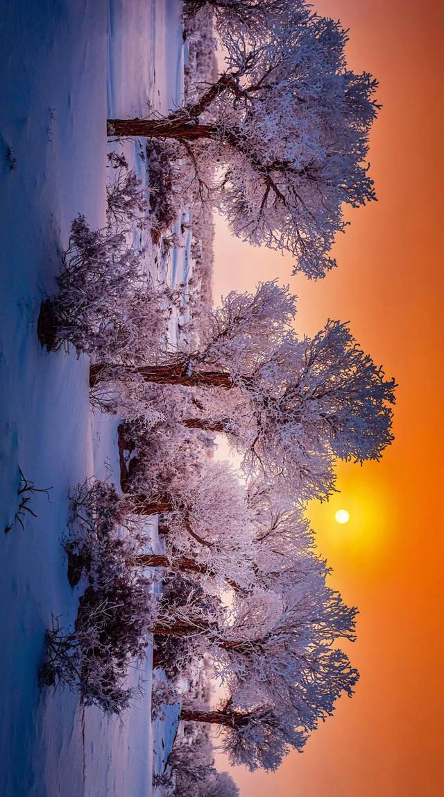 中国最美雾凇观赏地，在哪？