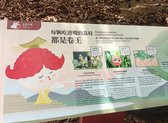 全城热恋！共赴“幸福联线”深圳专场浪漫之约