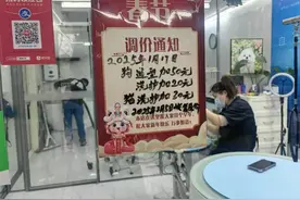 临近春节，“宠物服务”需求火爆，美容和寄养服务价格上涨！图片