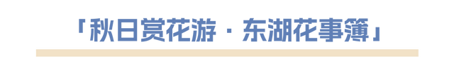 最新「玩湖宝典」上线，解锁东湖隐藏彩蛋