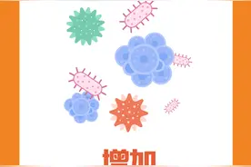 图说丨禁用“零添加”！食品安全新国标来了图片