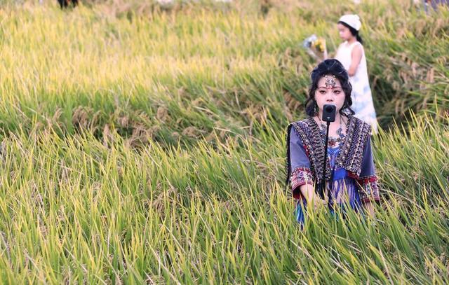大理喜洲游人如织成旅游热点