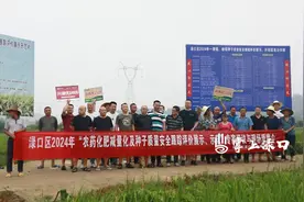 渌口区举办“农药化肥减量及种子质量安全跟踪评价展示、示范”现场观摩活动图片