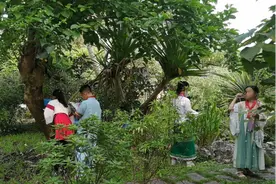 在校园里建一座花园，让儿童“重拾”自然丨六一儿童节丨科技前线图片