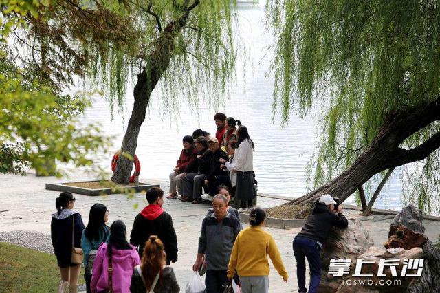 气温回升秋阳灿烂，湖南烈士公园成市民赏秋好去处｜组图