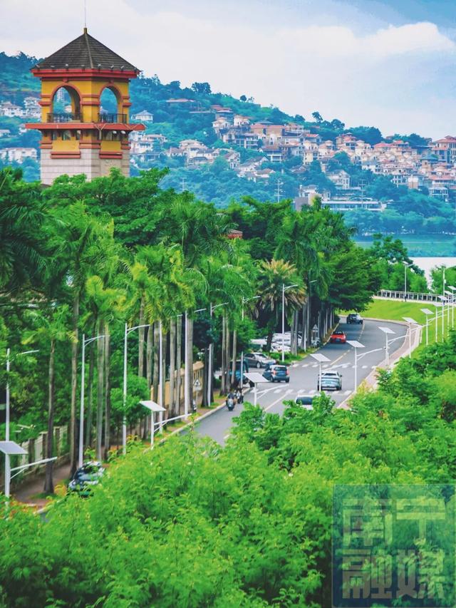 短剧《霸道总裁爱上西乡塘捡垃圾的我》开拍？真相是……