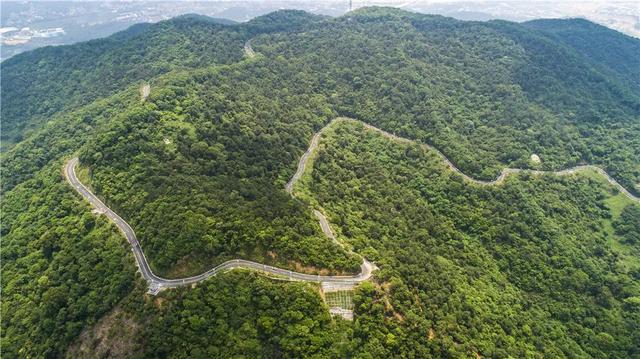 来啊，一起“躺坪”！增城「露营公园」指南→