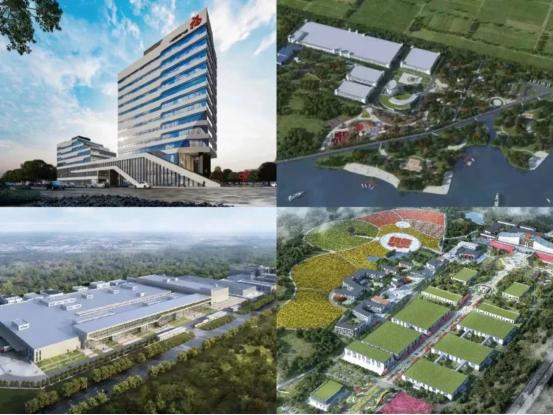 福胶集团总裁杨铧担任2025济南国际泉水节“泉炬手”