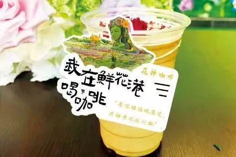 今开幕！顺义这片10万平米花海，壮观！