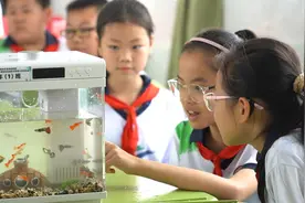 荔湾这个地方的鱼，有什么特别之处？图片