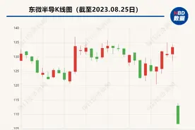 增收不增利 东微半导披露2023年半年报后20CM跌停图片