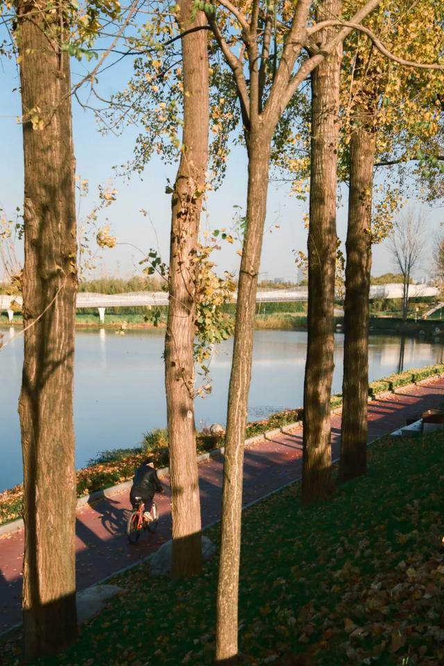 全部免费！西安4个冬日晒太阳好去处！