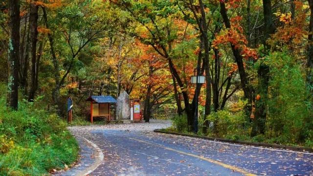 洛阳这些地方值得反复去，反复反复去... ...