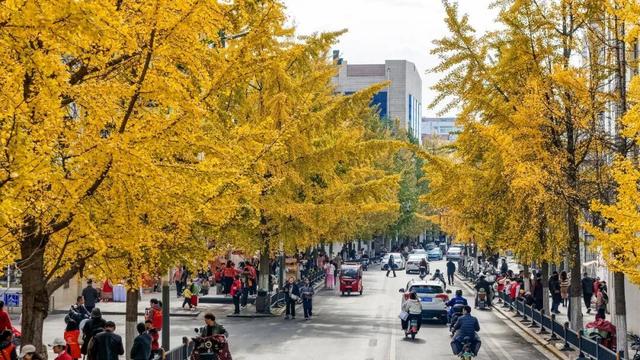 荆州的秋，才是隐藏BOSS！🥰🥰🥰