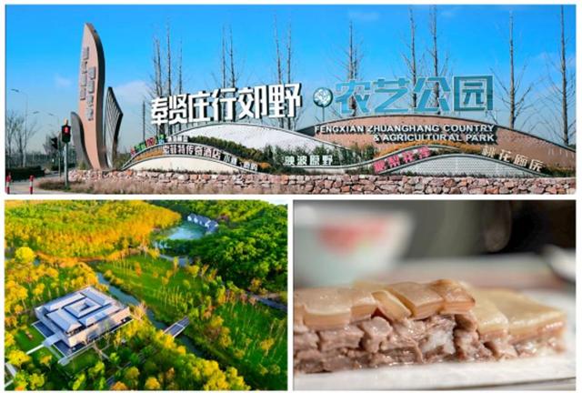 请查收美图！这么美的奉贤，你见过吗？