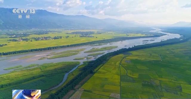 有一种生活叫云南 冬日滇池邀你来一场“观鸥游”