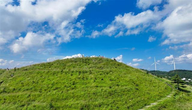 “两山”故事汇丨百里荒：变“荒”为“旺”迎来八方客