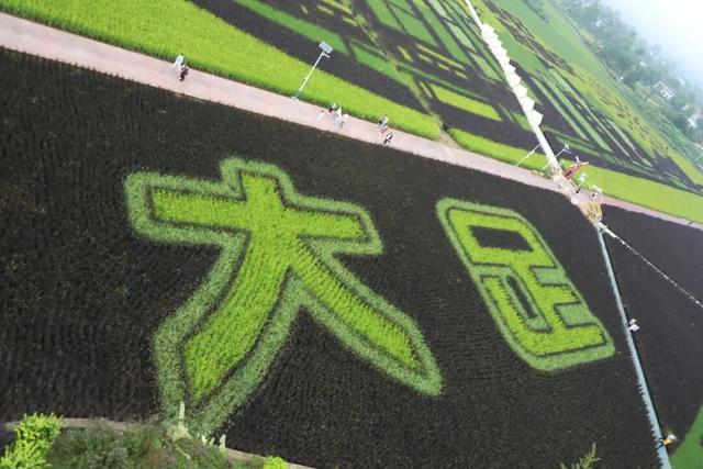 大足五彩田园丰收盛景引客来