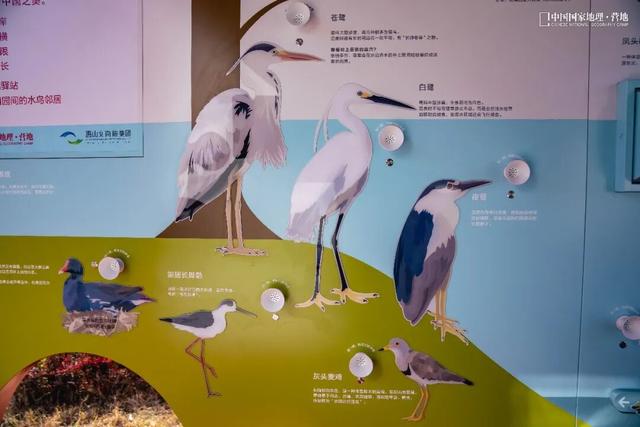 阳山自然驿站矩阵落成，全域科学体验线路启用