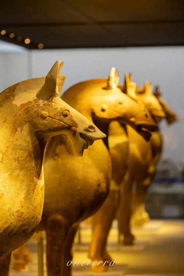 又找到一个人少、小众又宝藏的博物馆！馆藏还有一件195禁出文物～