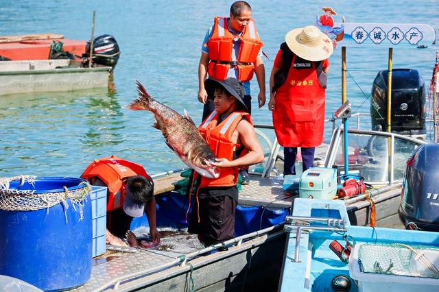 渔火映湖、山歌伴宿！河源以“湖泊+”探索农文旅融合新路径｜农文……