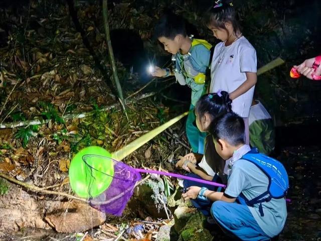 秋日亲子探险正当时！来八寨沟开启一场自然寻宝之旅