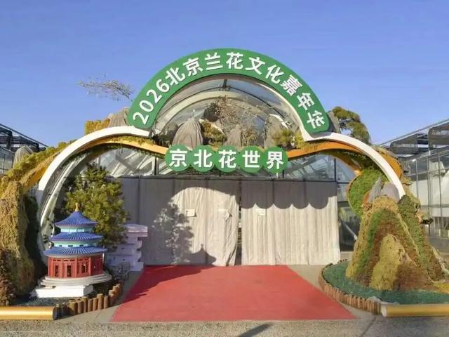 家庭园艺嘉年华｜北京兰花文化嘉年华将于明日启幕