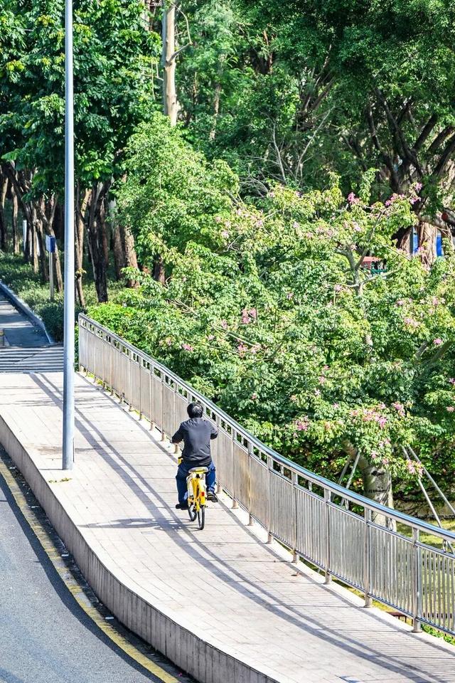 深圳知名景区紧急通知！