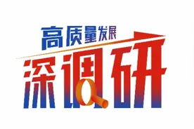 龙岗坪山“组CP” 东部交通“一盘棋”图片