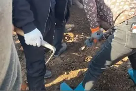 最新！江西一工地挖出大量老钱币引居民寻宝，博物馆回应图片