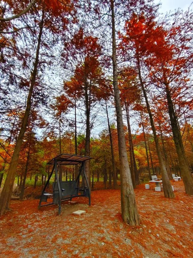 宁国的秋冬，藏着N种让人心动的打开方式