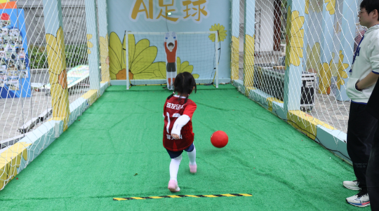 镇海老城金秋菊展来啦！这些地标等你打卡→