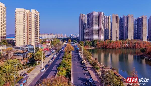 【每日一图@湖南】漫步粟雨湖畔，拾取水杉与冬光合写的暖意篇章
