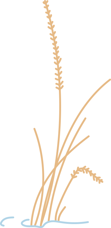 华服耀巴城・古韵传天下｜2025 巴中市汉服形象大使选拔赛总决赛圆满落幕