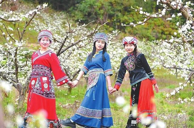 深化文旅融合 加快产业勃兴丨会昌有戏 风景独好
