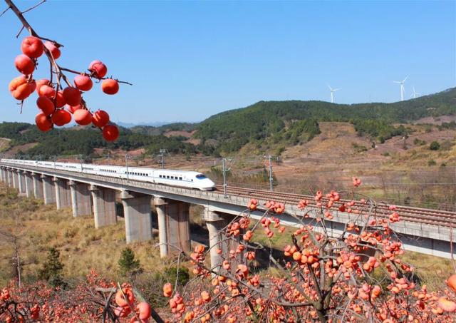 广西这座高铁站内，为啥众多旅客手拿树枝?