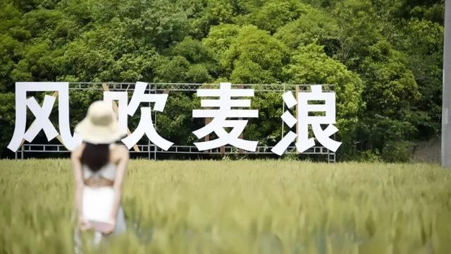 诗意清流 林盘深处的诗与远方