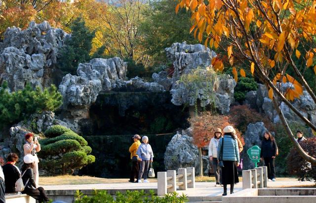 江苏苏州：桐泾公园斑斓冬景引客来