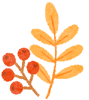 美到犯规！青城的秋，从不偏心南北